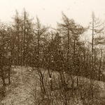 Cesta do školy - L.P.1924