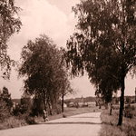 Do Černé-Hůrky - L.P.1935