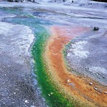Yellowstone, USA, 2002