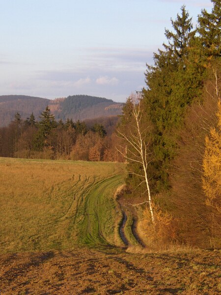 Podzimní pole