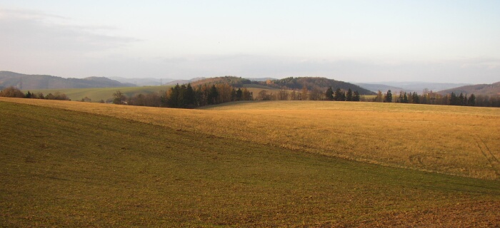 Podzimní pole2