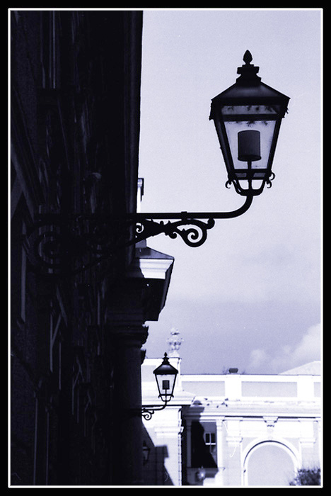 calling viena (1)