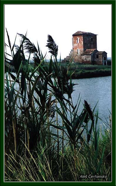 Mokriny v delte Padu