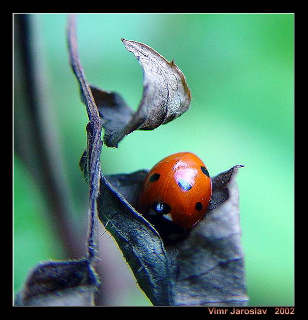 úkryt před zimou . . .