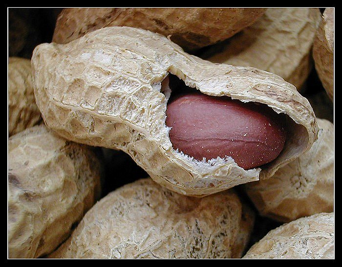 Buráky