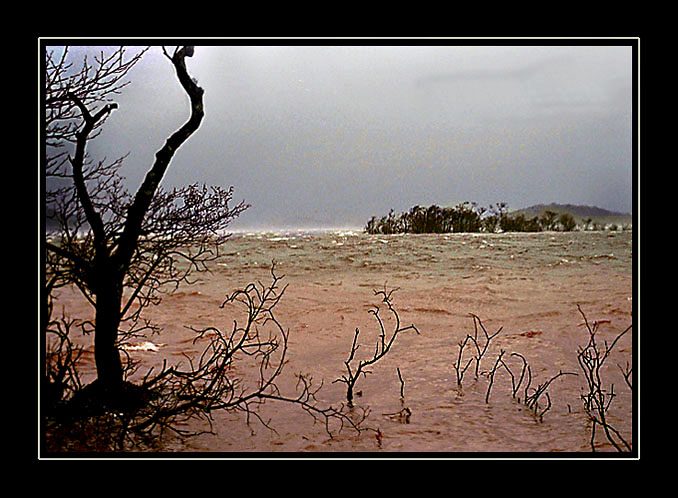 Skotsko - Loch Lomond