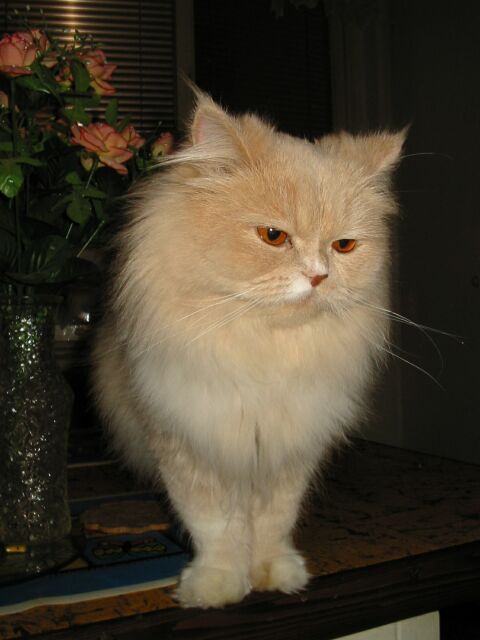 Charlie