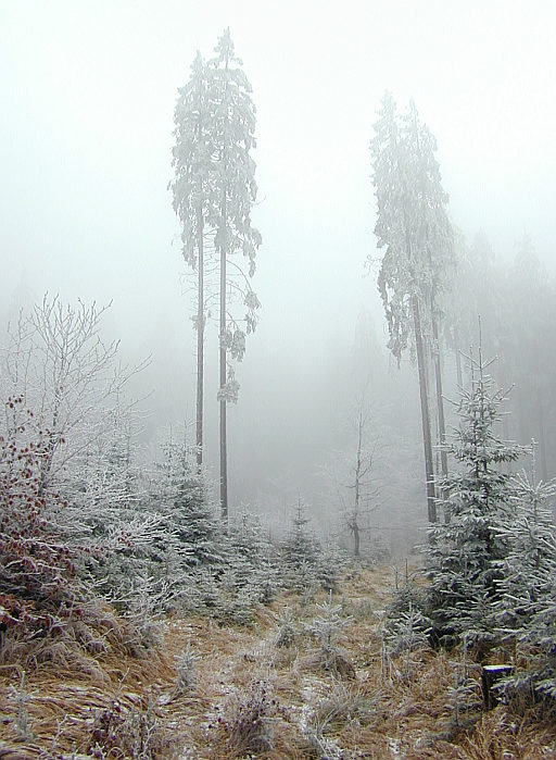 brána