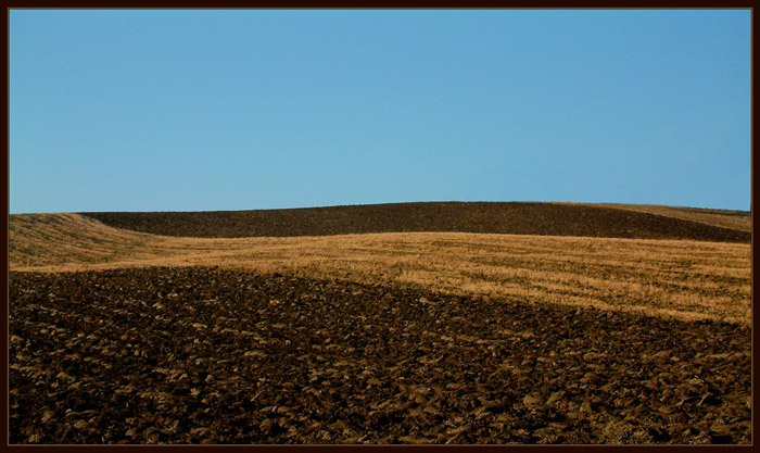Políčko orané i neorané....