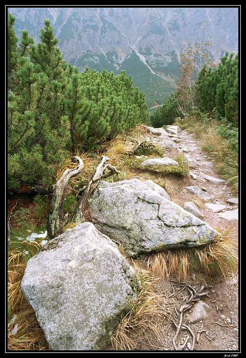 Belianske Tatry