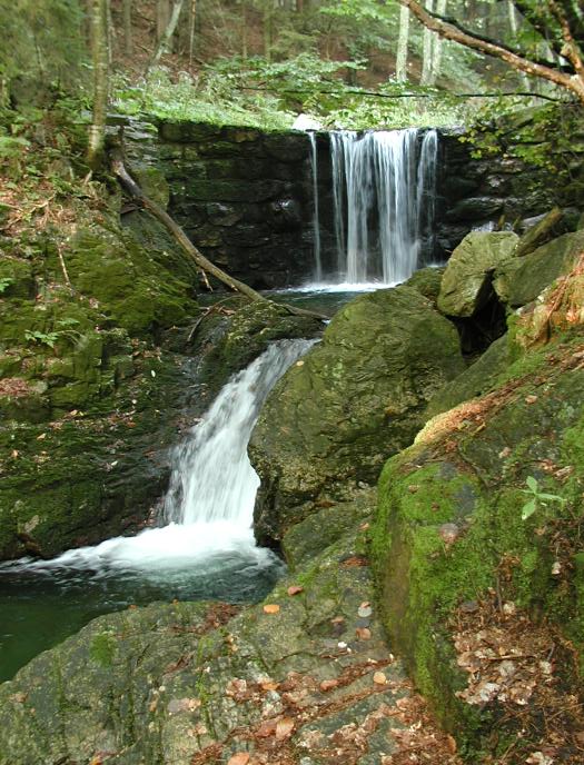 Bílá opava II