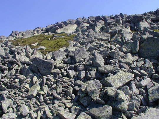 Zivot jako cesta ...