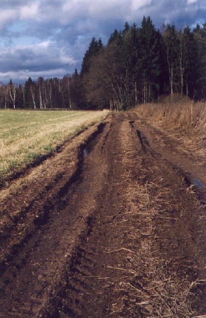 Cesta z města
