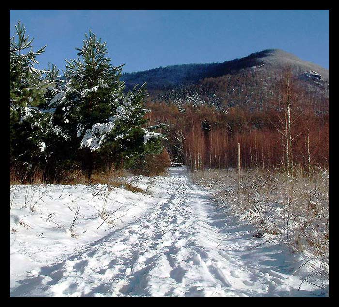 Z dnešní procházky......