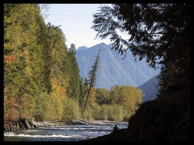 Priroda & rybar..;-D