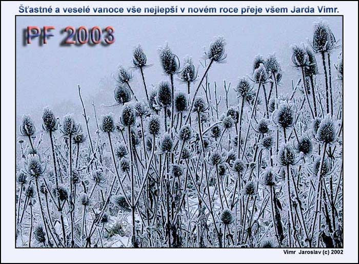 PF 2003