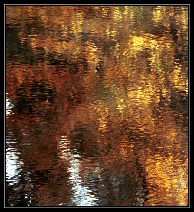 Jesenne reflexie.