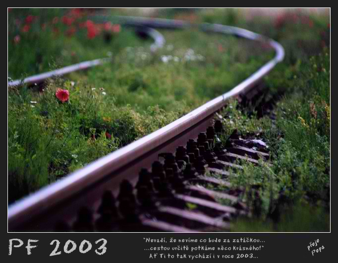 PF 2003