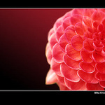 Ještě jednou a ve větším..