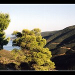 Jediná cesta k moři...