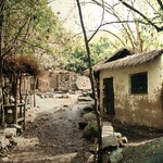 Domecek a nebo chlivek?