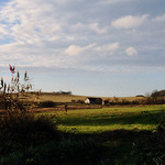 samota uprostřed podzimu