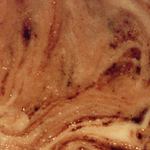 Co je to asi za horninu?