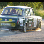 Zdivočelý embéčko