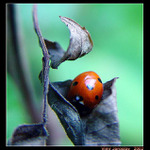 úkryt před zimou . . .