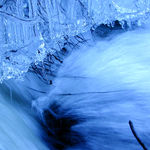 ledové království