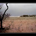 Skotsko - Loch Lomond