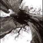 ..stojí tu pár století...