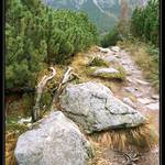 Belianske Tatry