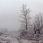 mlžná cesta na Vladaři