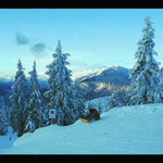 Priroda & lidska unava