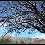 Z procházky III.....