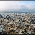 Mrazíkovo království