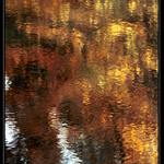Jesenne reflexie.