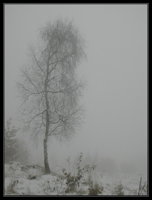 Sychravé zimní ráno