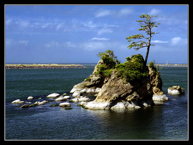 Oregon coast II