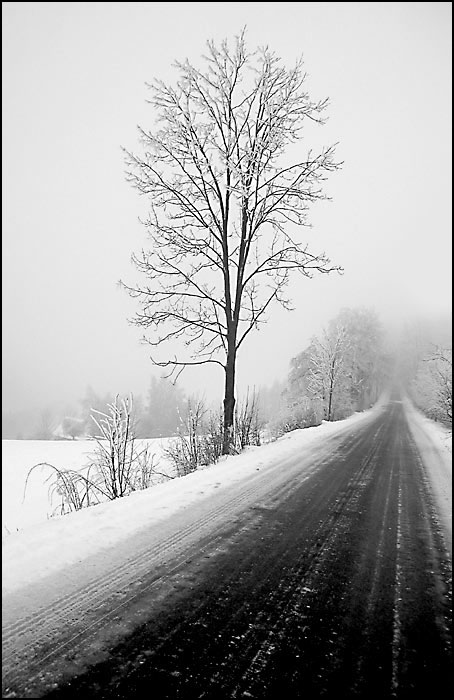 Šedivky 7