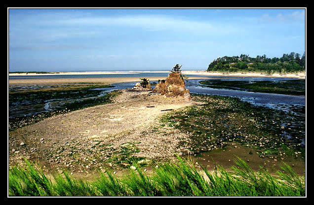 Oregon coast III
