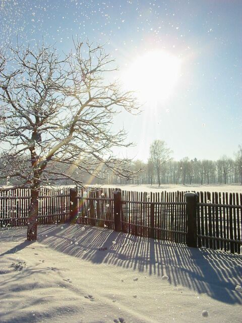 1.1.2003
