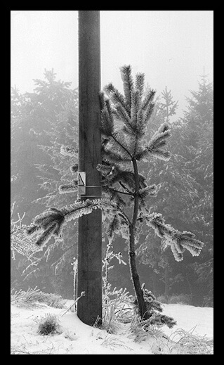 Neopouštěj mne, prosím!