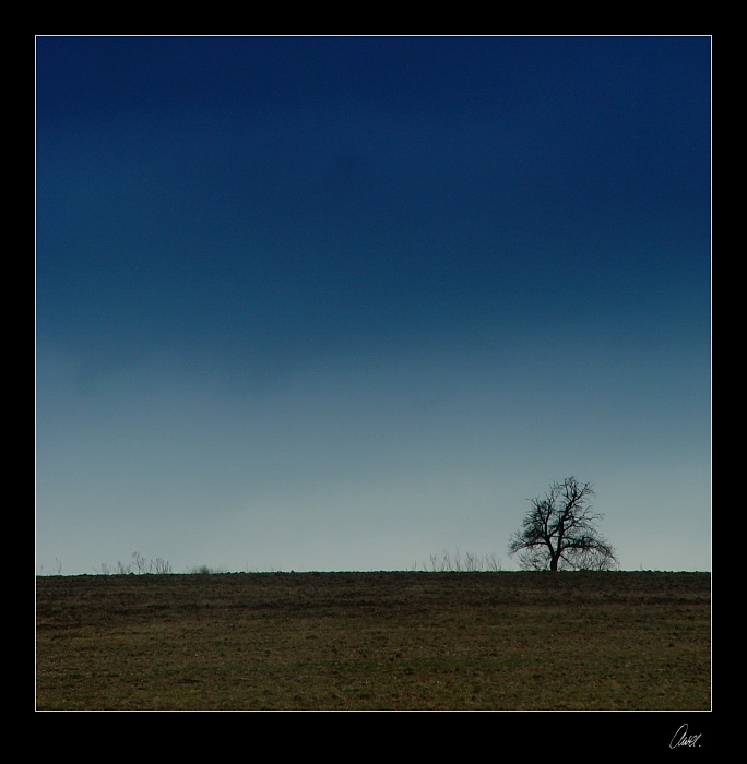 Horizont