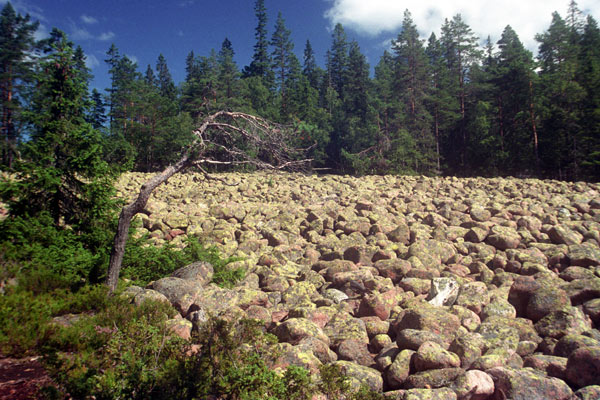 řeka