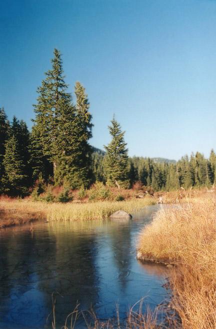 Munrow Lake, Coquitlam, BC
