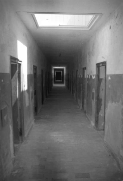 Labyrinth ?..
