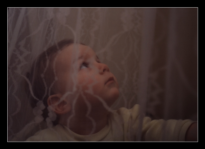 Prcek IV - výpravy za poznáním