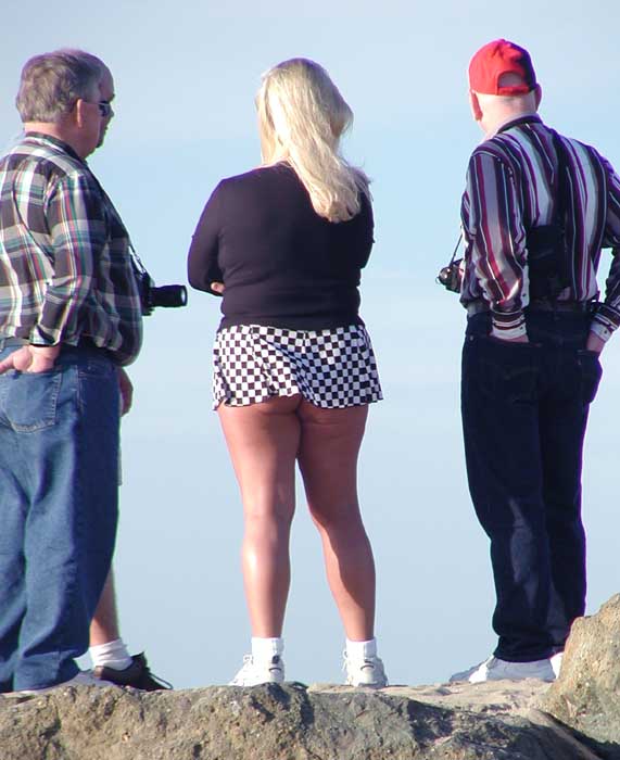 NEDOKONALA ALE ZIMNI